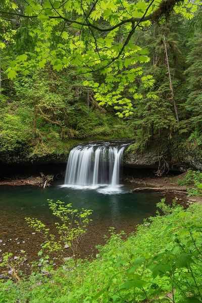 Upper Butte Creek Falls Cascade Range-Oregon